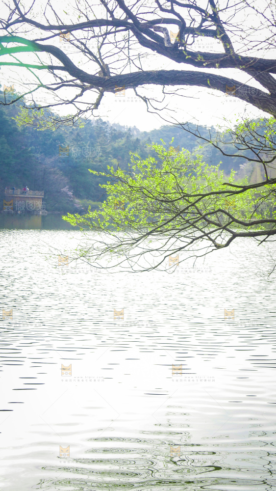 湖泊里的水