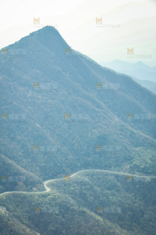 山上的绿植