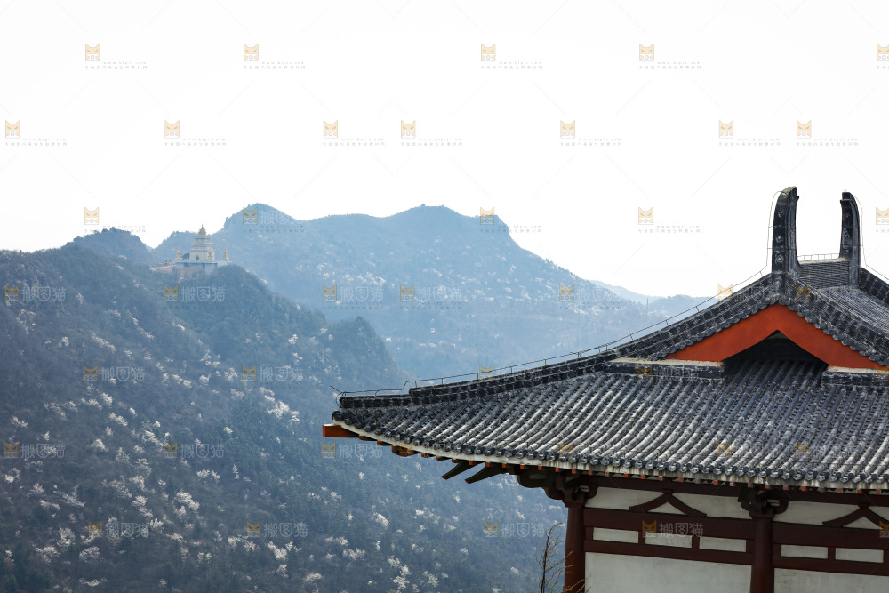 建筑的屋顶