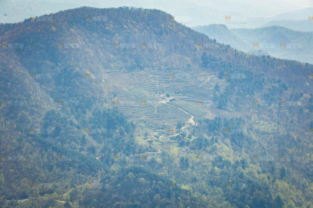 一片大山