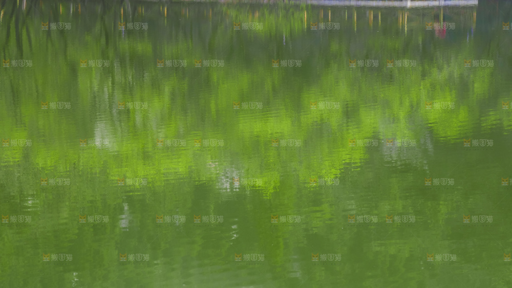 湖泊里的水