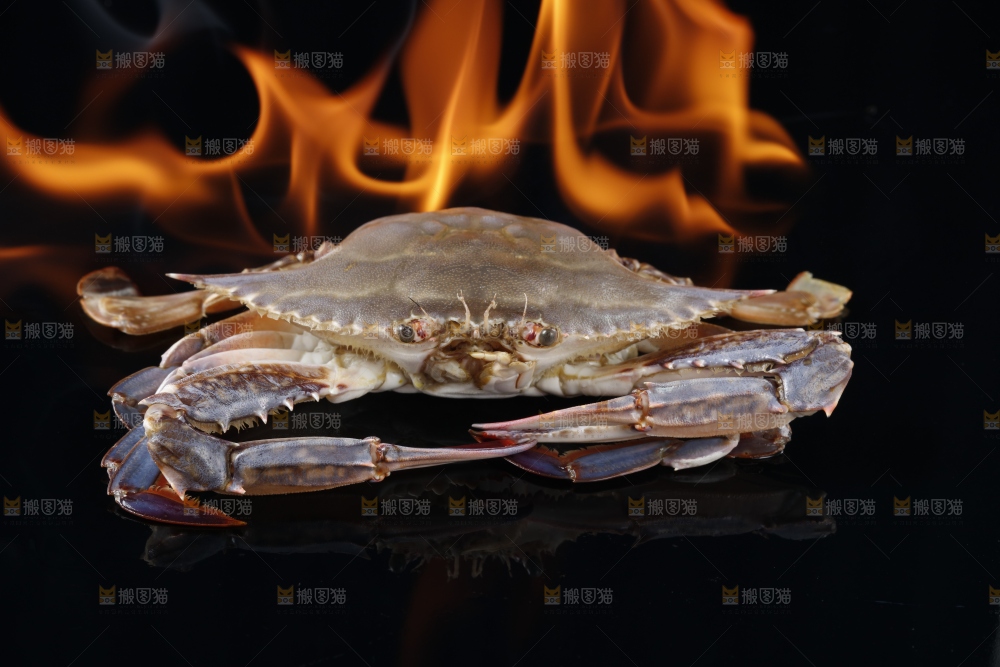手里拿着海带头