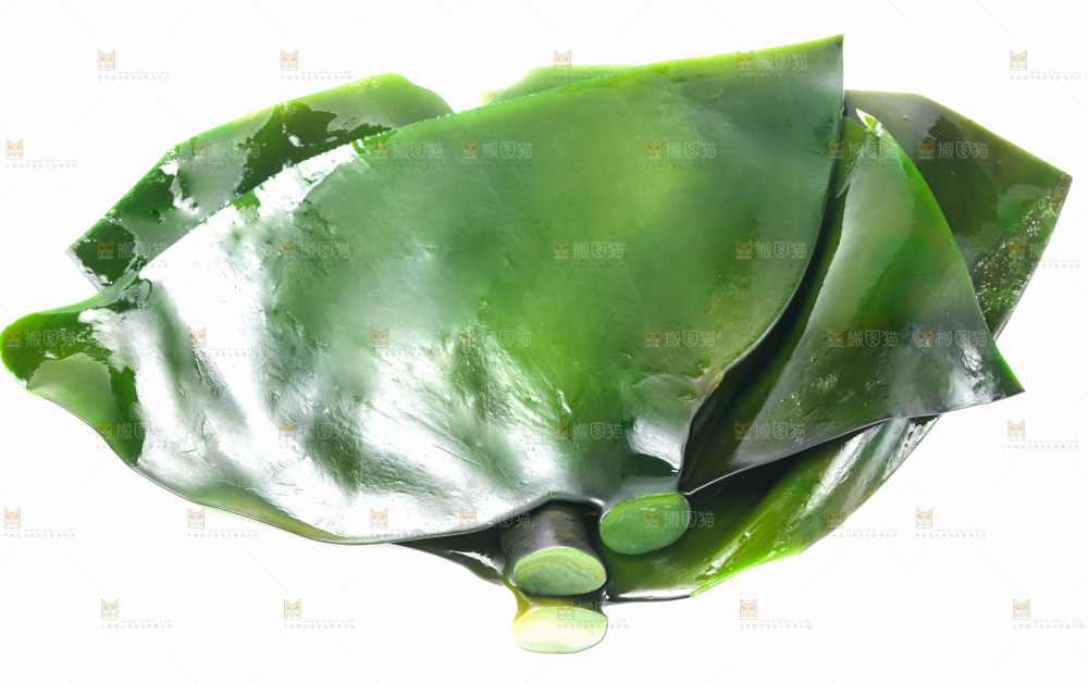 白底上摆放着海带头