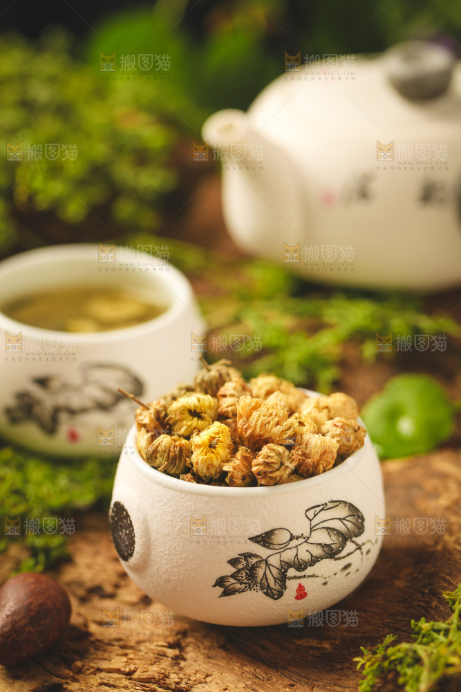 杯子里装着菊花