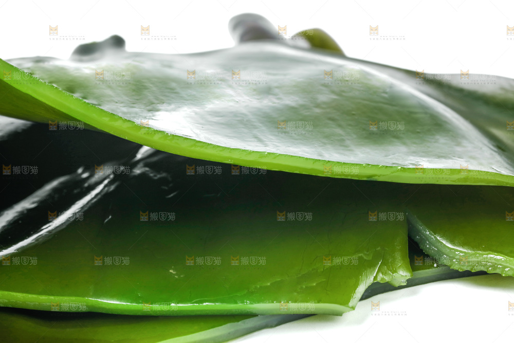 白底上摆放着海带头