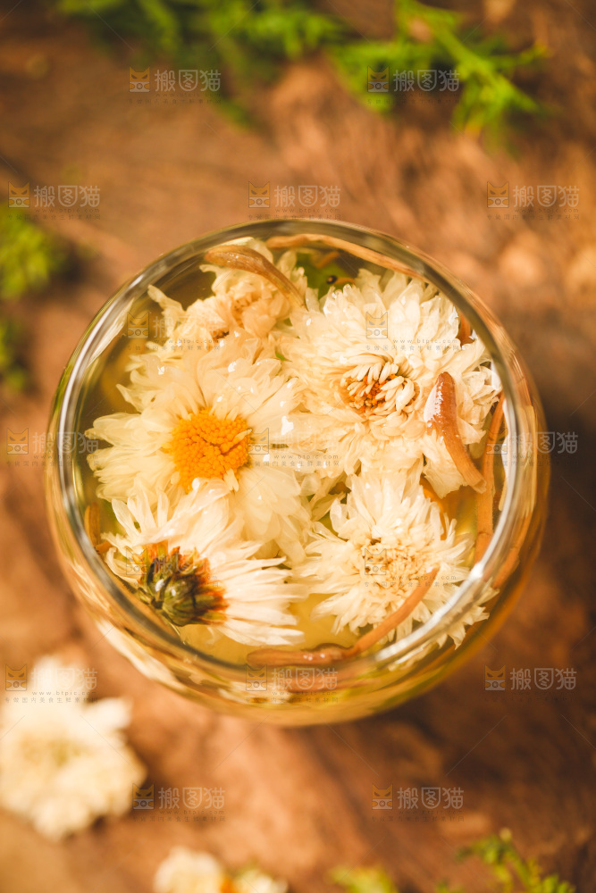 杯子里装着白菊花茶