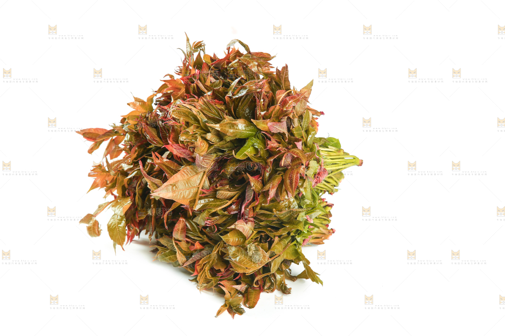 一堆新鲜香椿芽