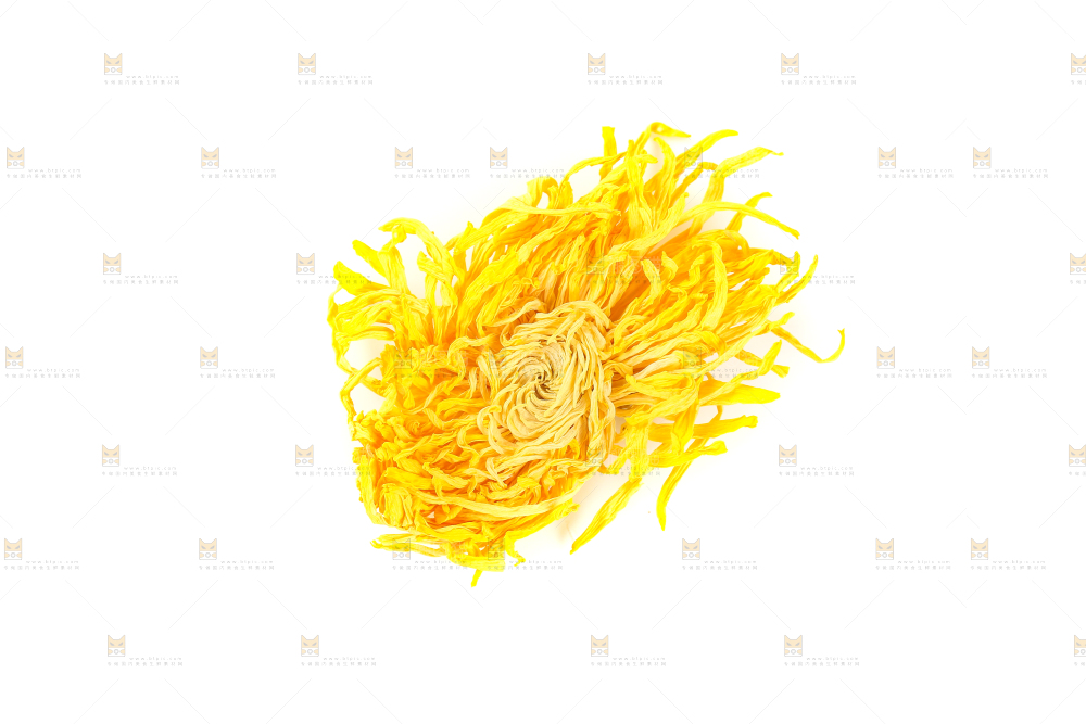 白底上放着金丝皇菊