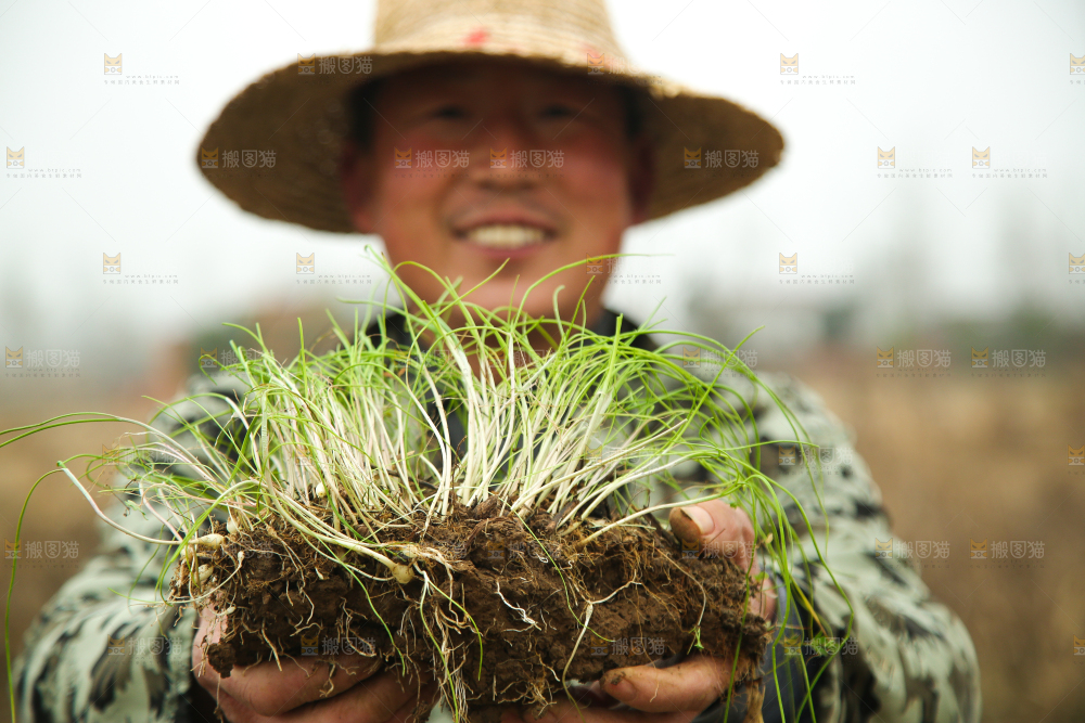 手里拿着新鲜野葱