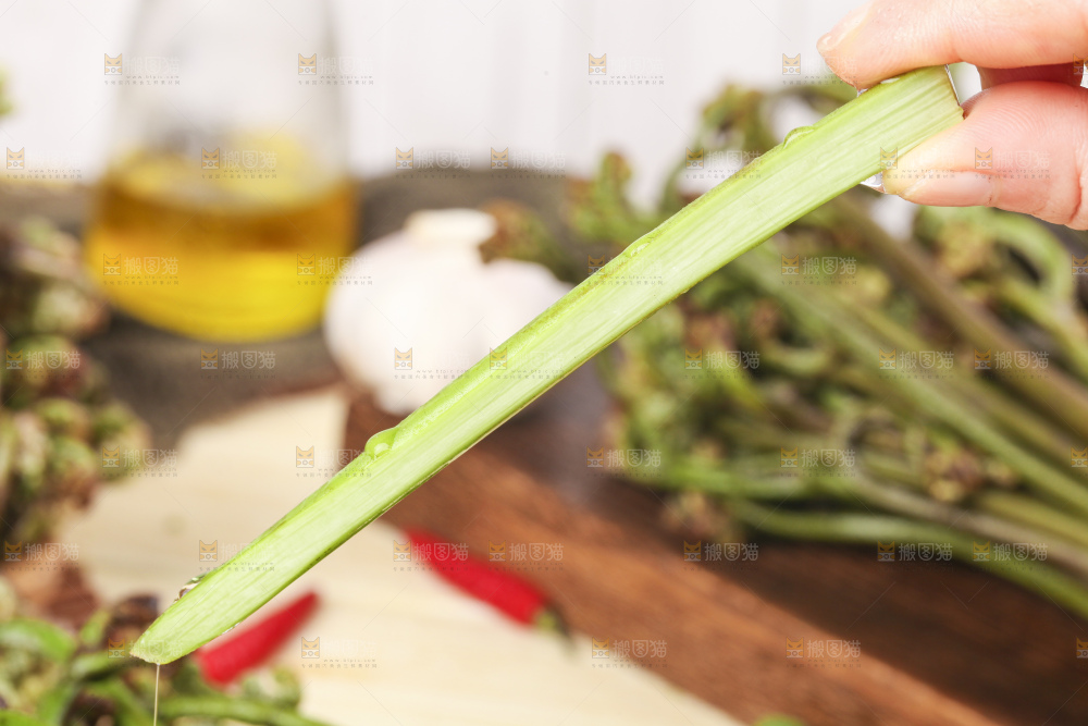 手里拿着蕨菜
