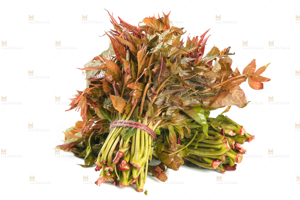一堆新鲜香椿芽