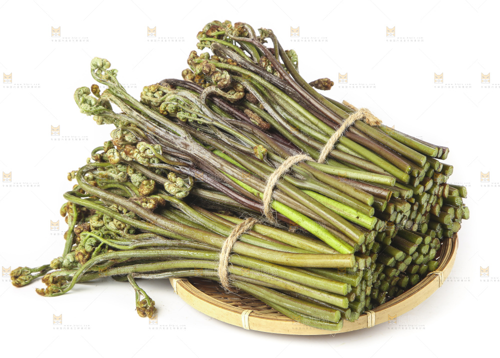 白底上放着一篮新鲜蕨菜