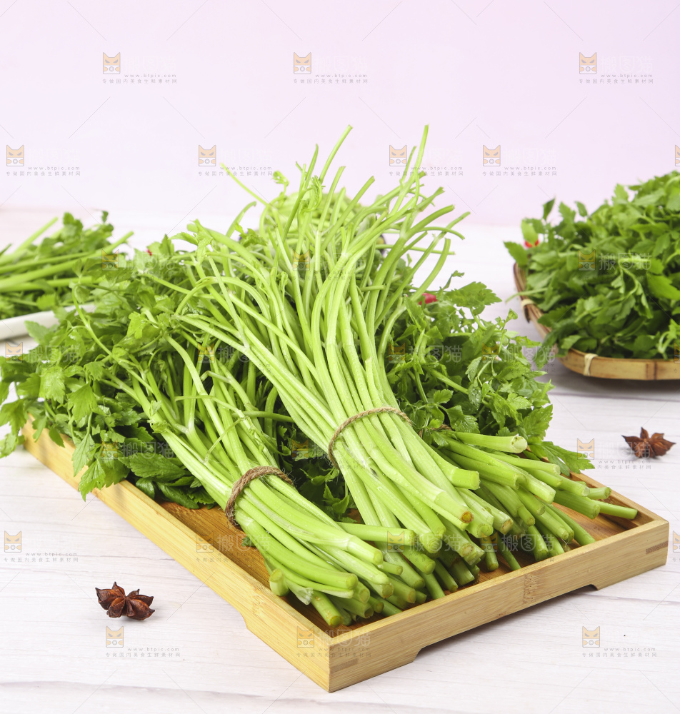 一盘湖南新鲜水芹菜