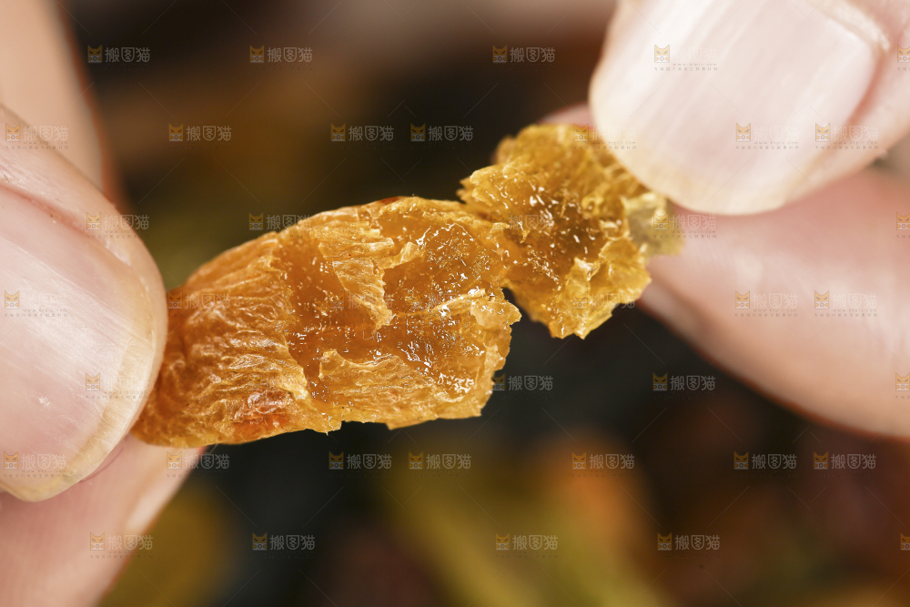 手里拿着树上黄葡萄干