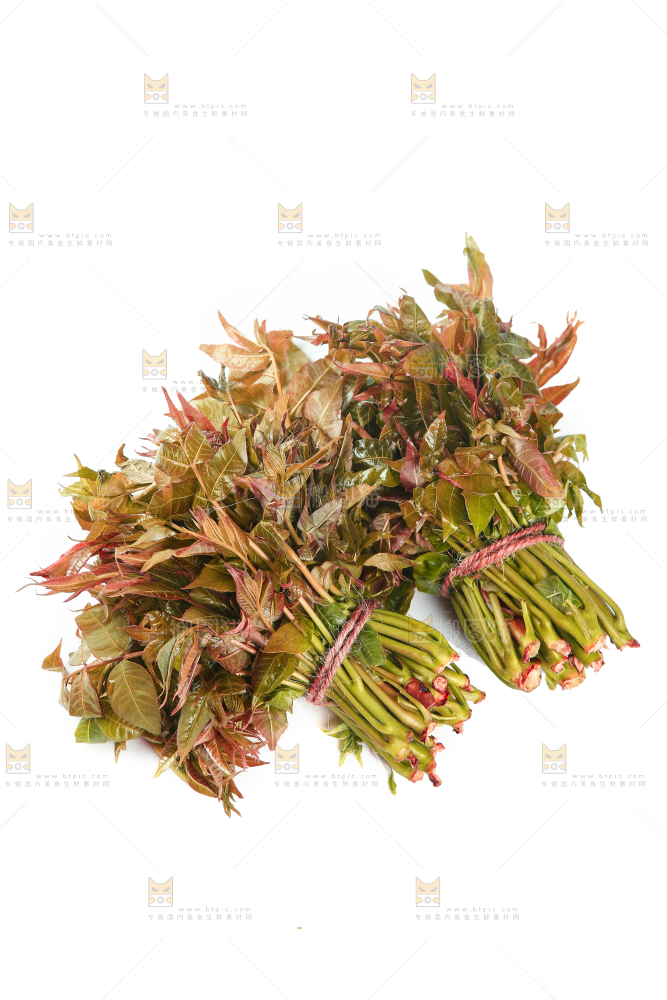 一堆新鲜香椿芽
