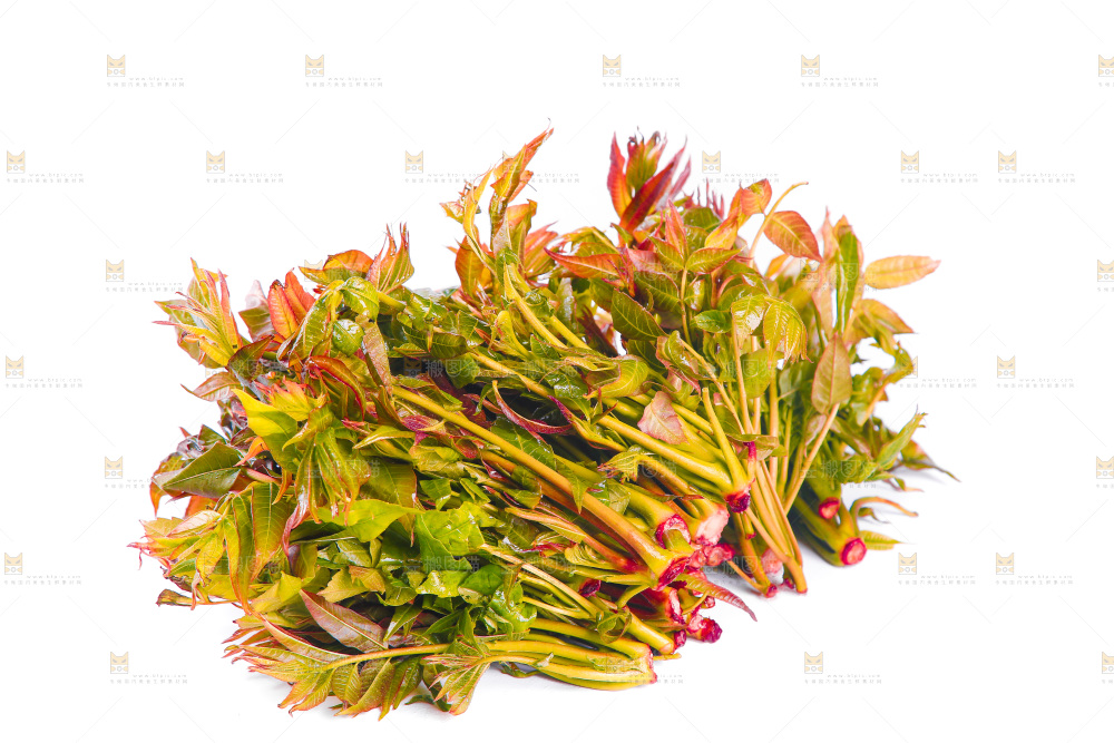 白底上放着头茬香椿