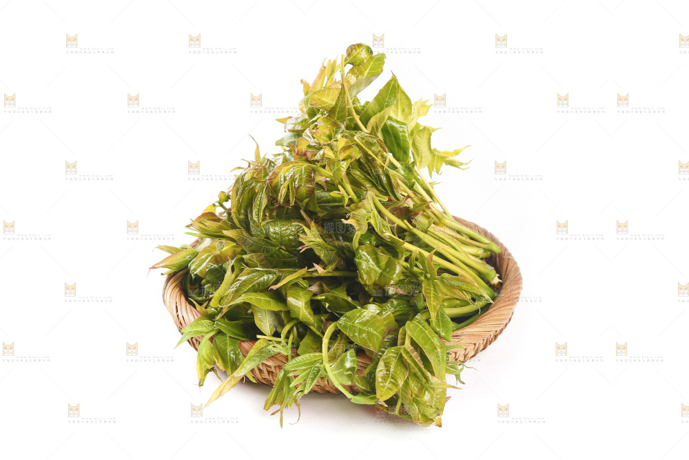 一篮香椿嫩芽