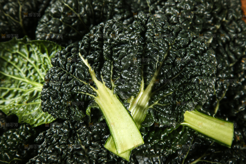 一堆新鲜泡泡菜