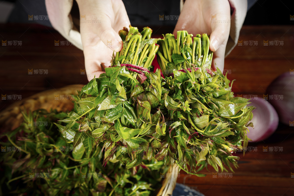 手里拿着头茬香椿芽