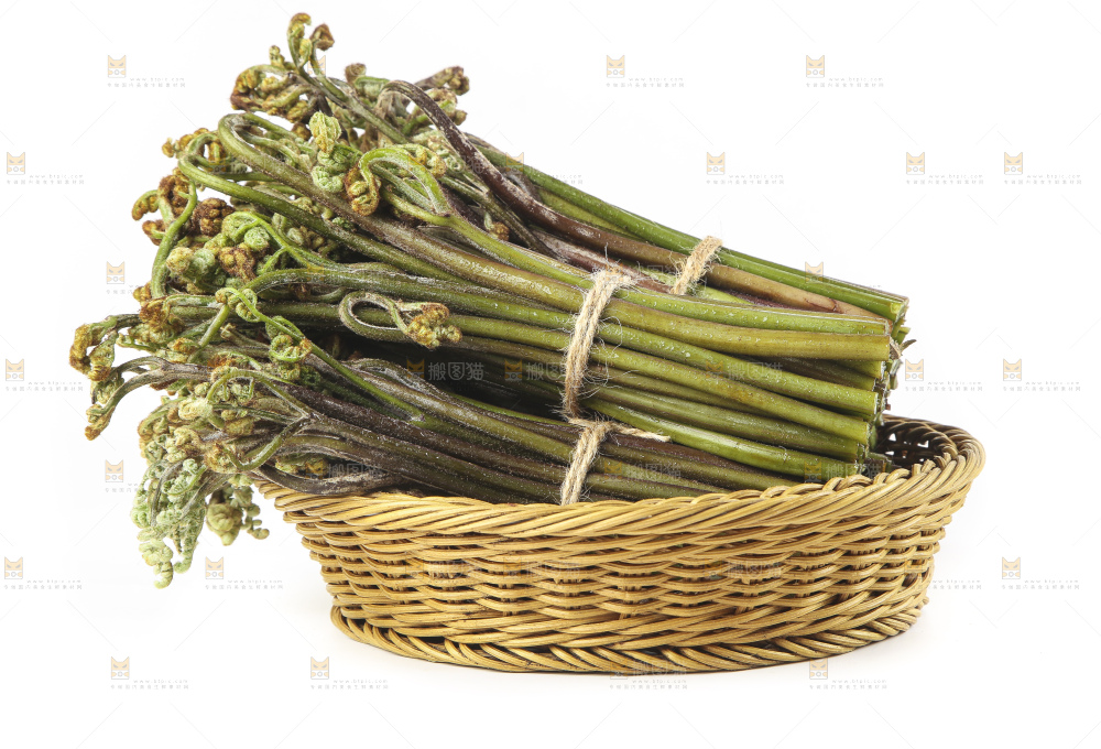白底上放着一篮新鲜蕨菜