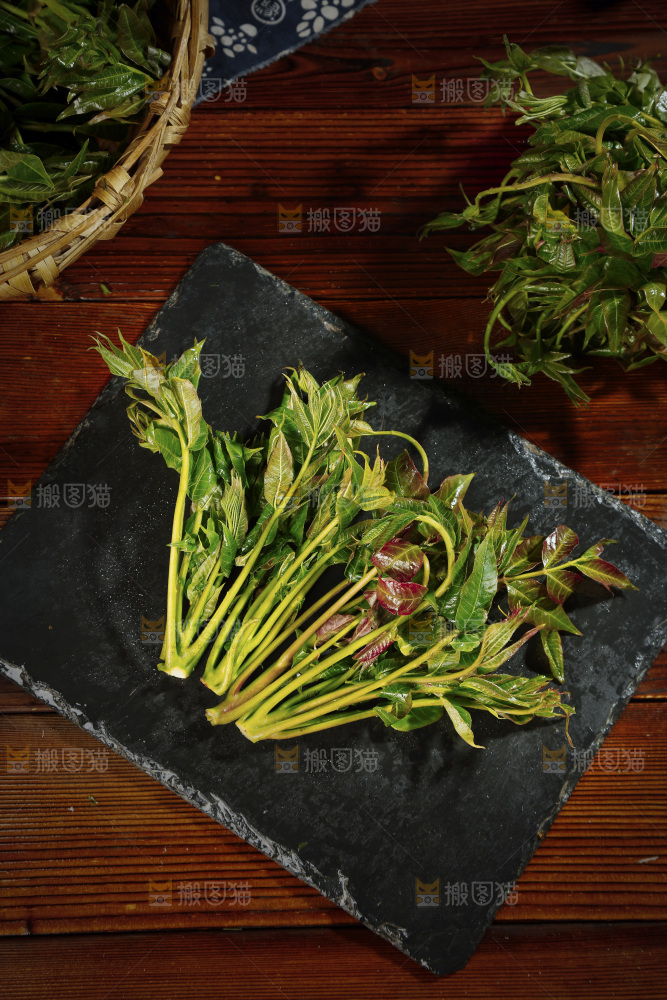 黑石底上摆放着香椿芽