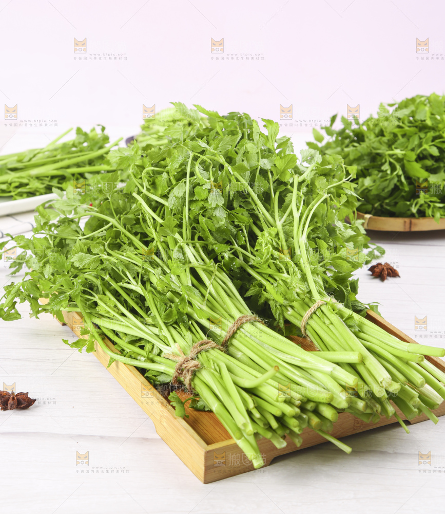 一盘湖南新鲜水芹菜