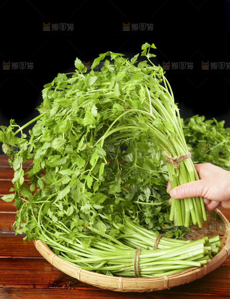 手里拿着野芹菜