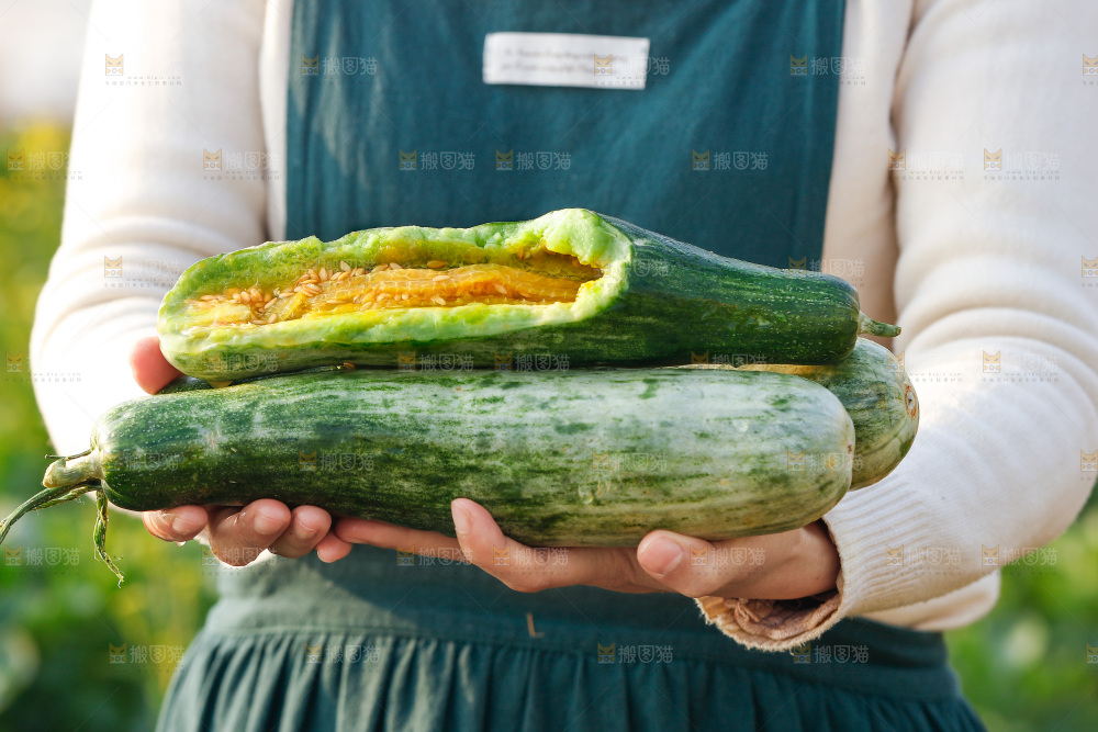 羊角蜜