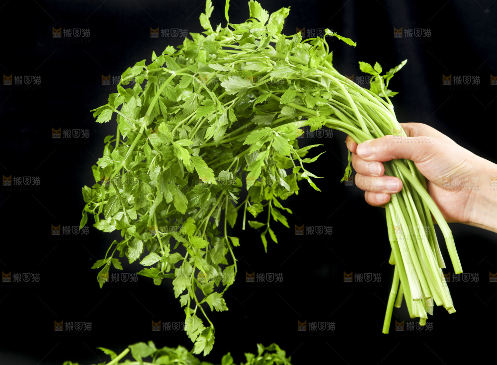 手里拿着水芹菜