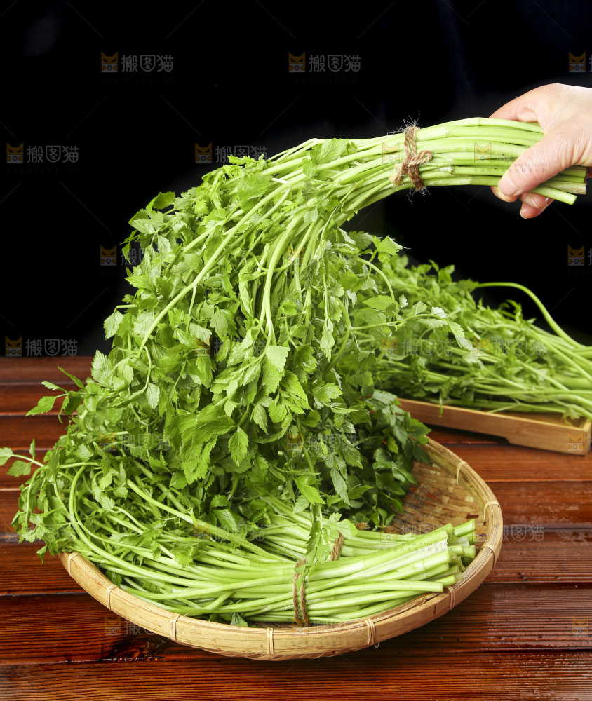 手里拿着野芹菜