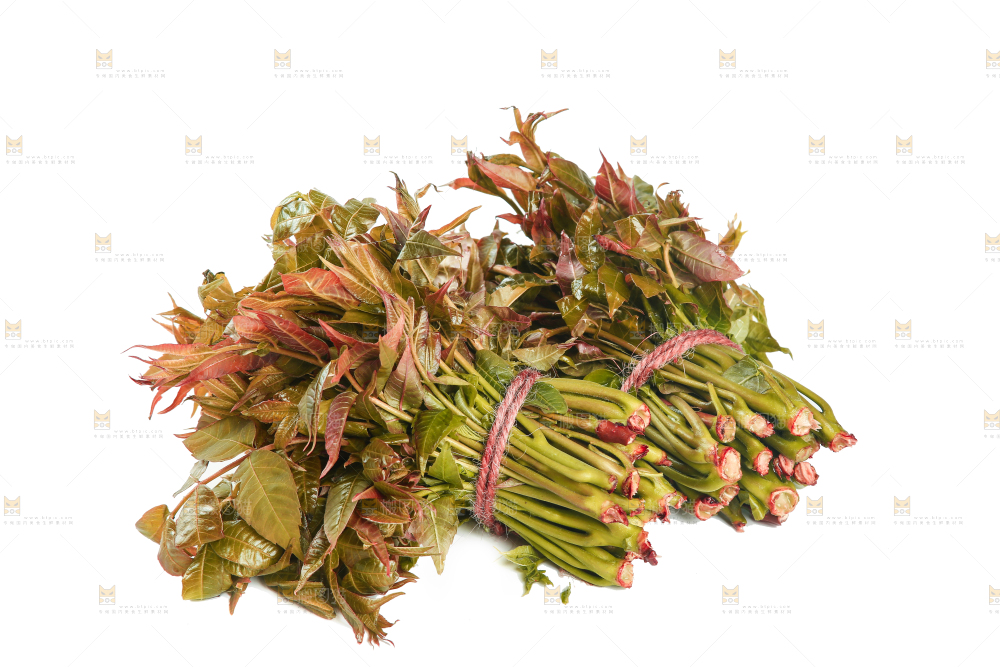 一堆新鲜香椿芽