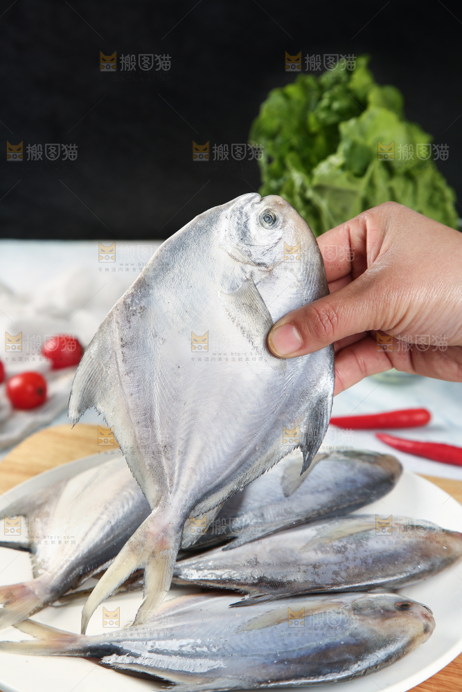 手里拿着海捕银鲳鱼