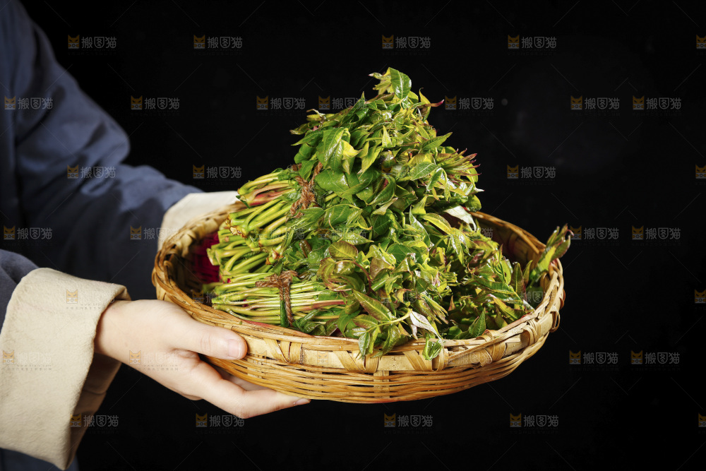 手里端着一篮香椿