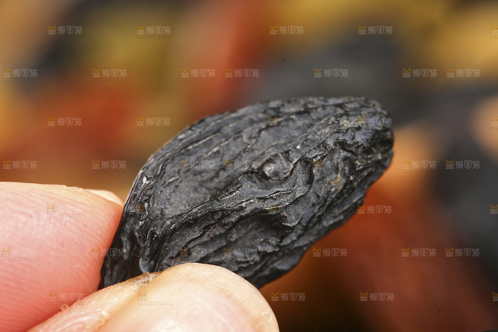 手里拿着黑加仑葡萄干