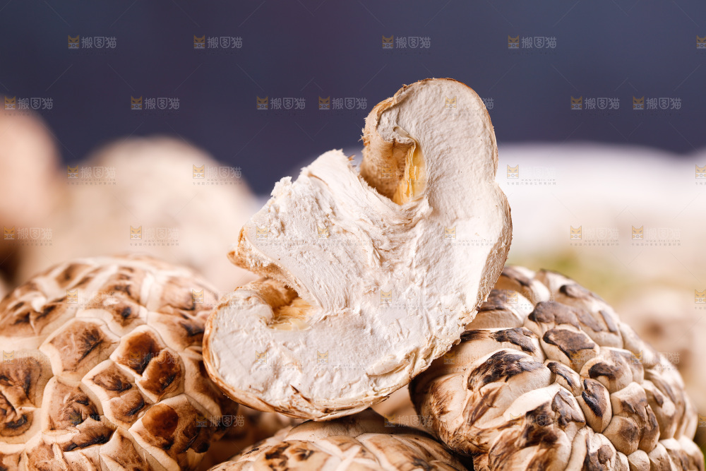 一堆长白山花菇