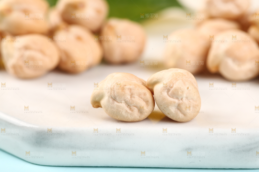 石垫上的新疆鹰嘴豆