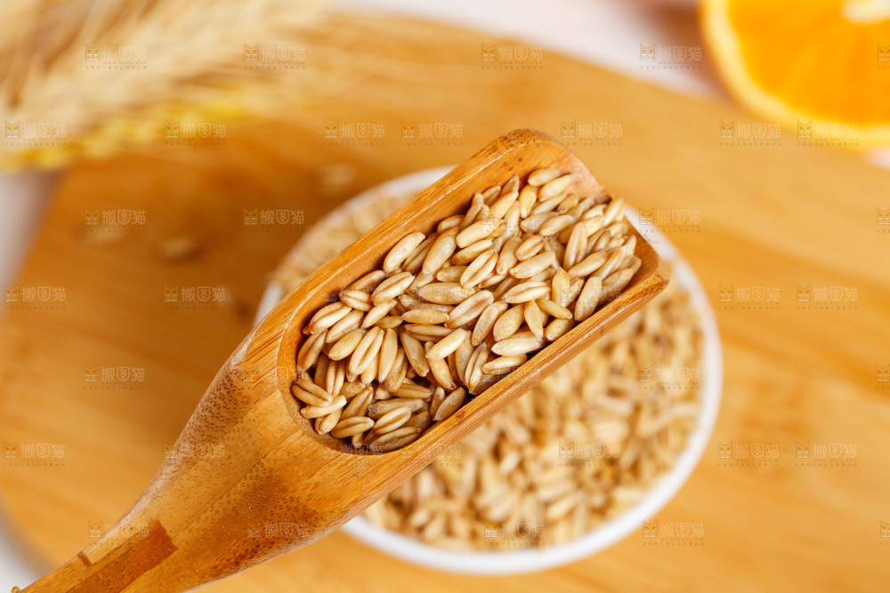 勺子里舀着东北燕麦米