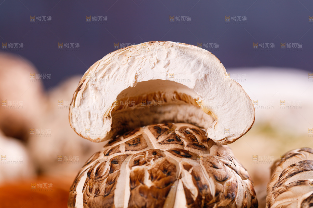 一堆长白山花菇