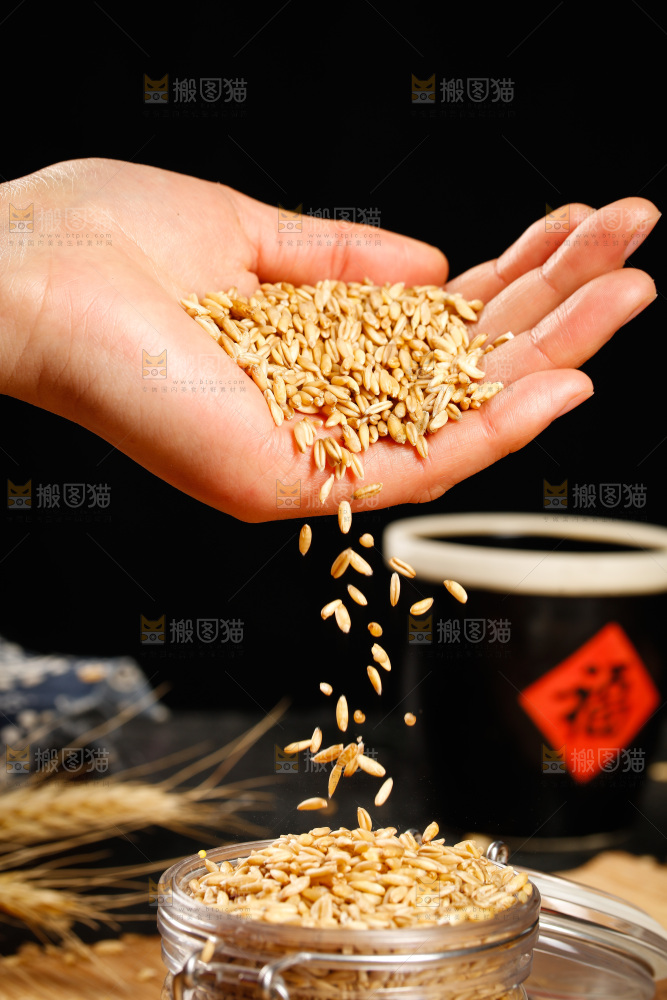 手里拿着燕麦米