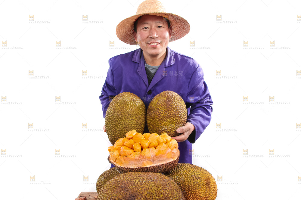 农民手里抱着菠萝蜜