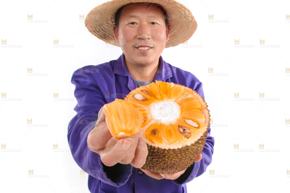 农民手里捧着菠萝蜜