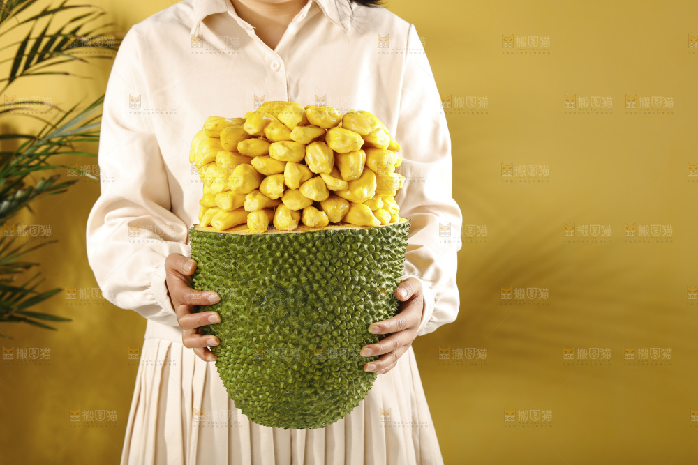 手里抱着海南黄肉菠萝蜜