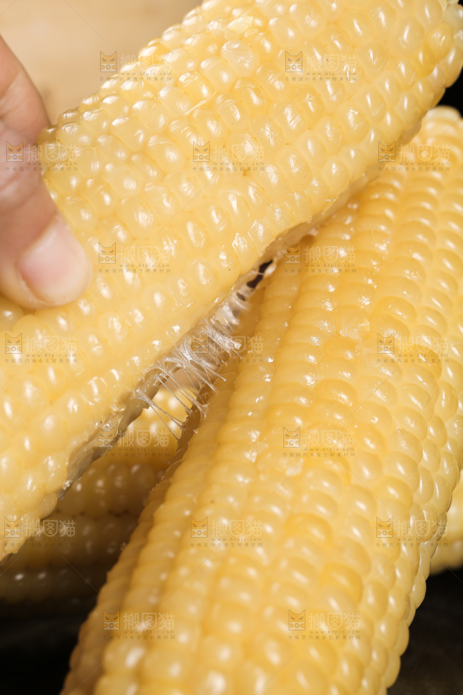 白糯玉米