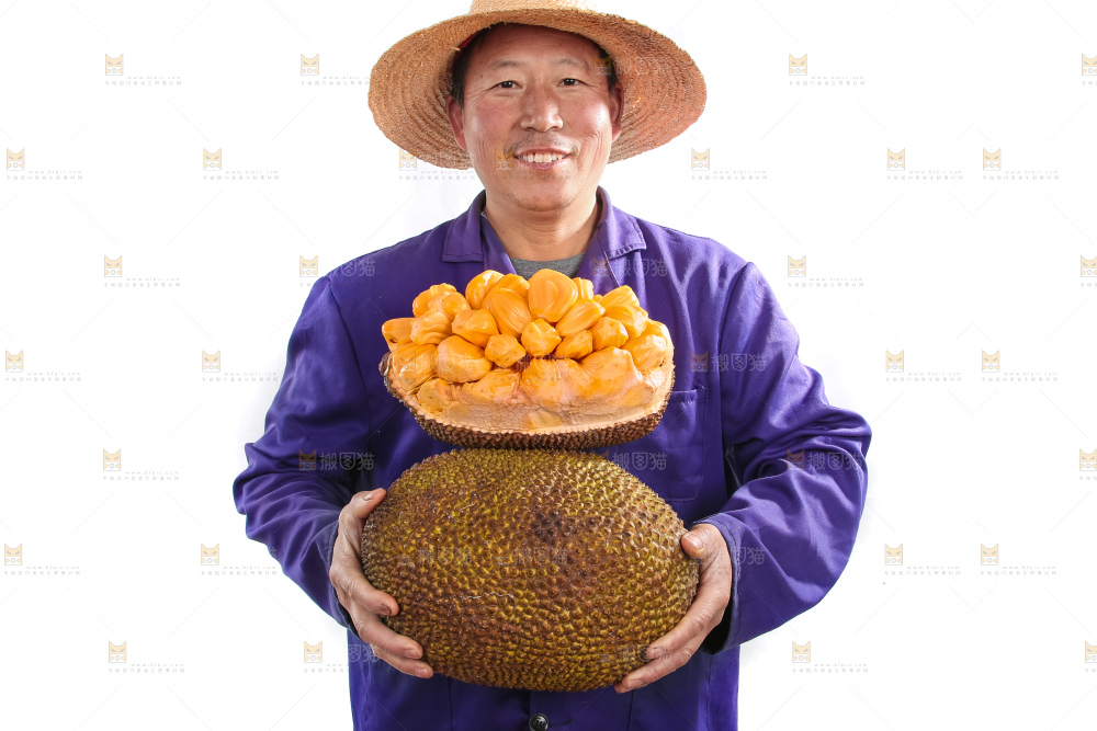 农民手里抱着菠萝蜜