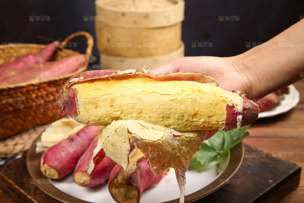手里拿着黄心板栗薯