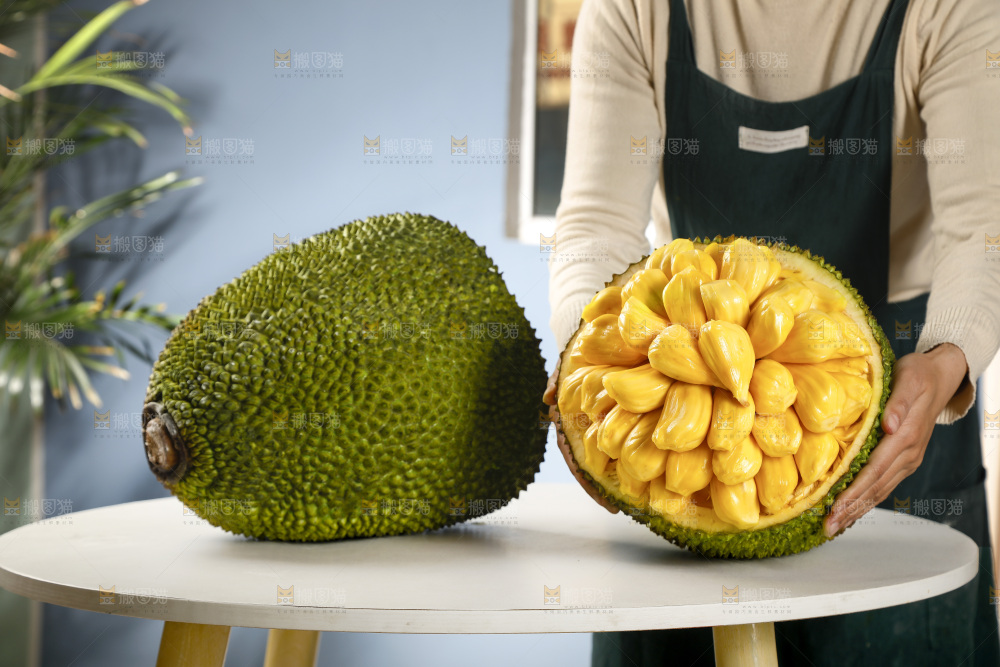 手里抱着海南黄肉菠萝蜜