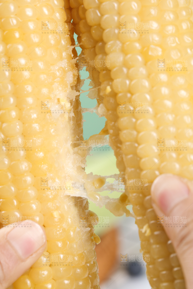 手里拿着白糯玉米棒