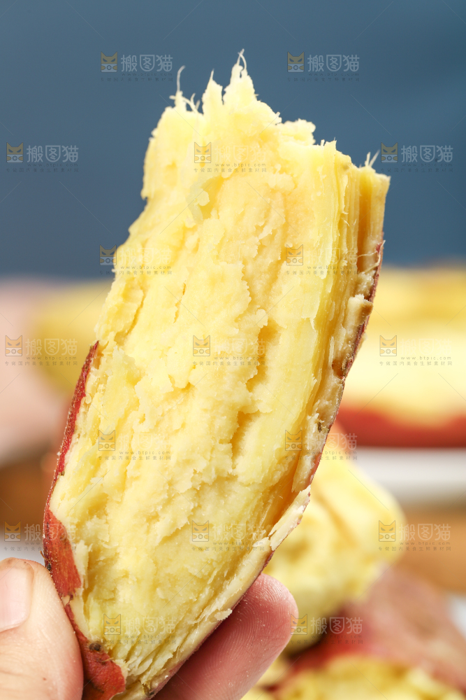 蒸熟的黄心板栗薯