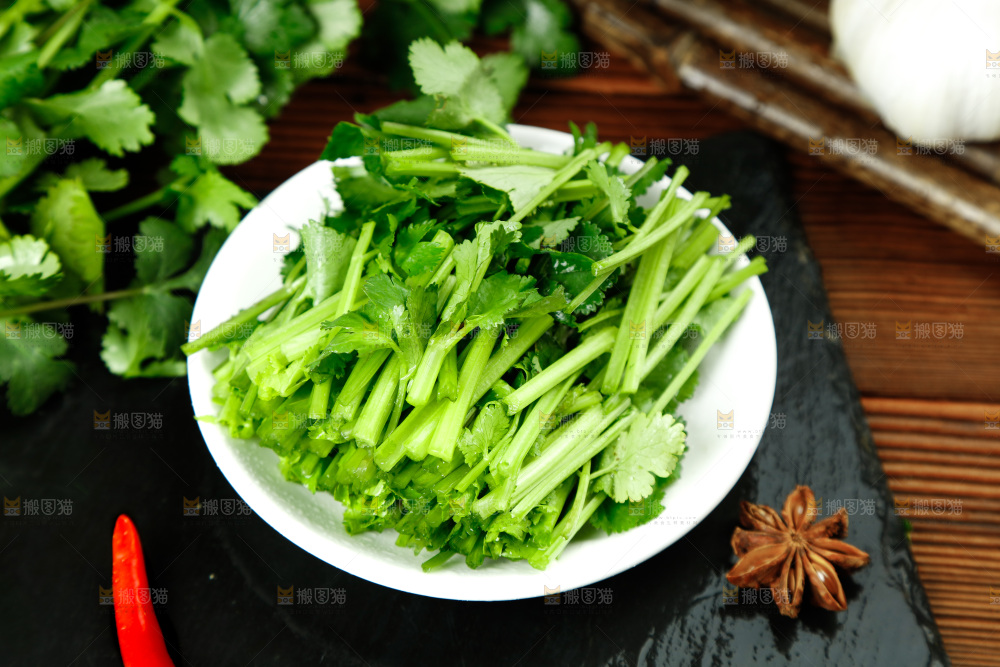 一盘香菜