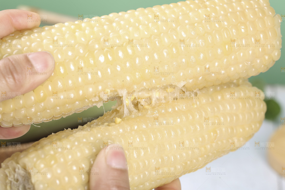 手里拿着白糯玉米棒